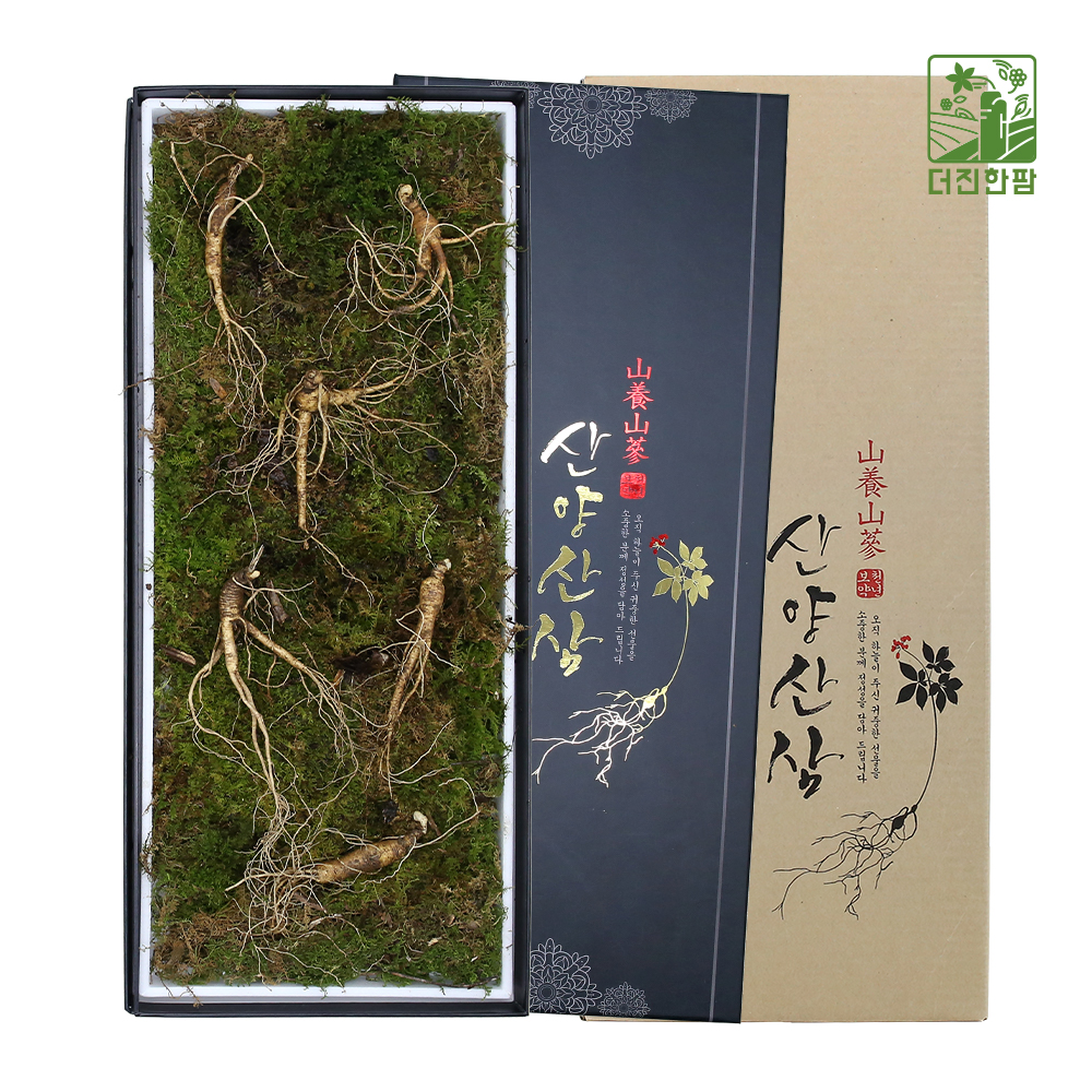 [더진한팜] 기운내삼 8-9년근 산양산삼 6뿌리 (전용 지함케이스 포장)