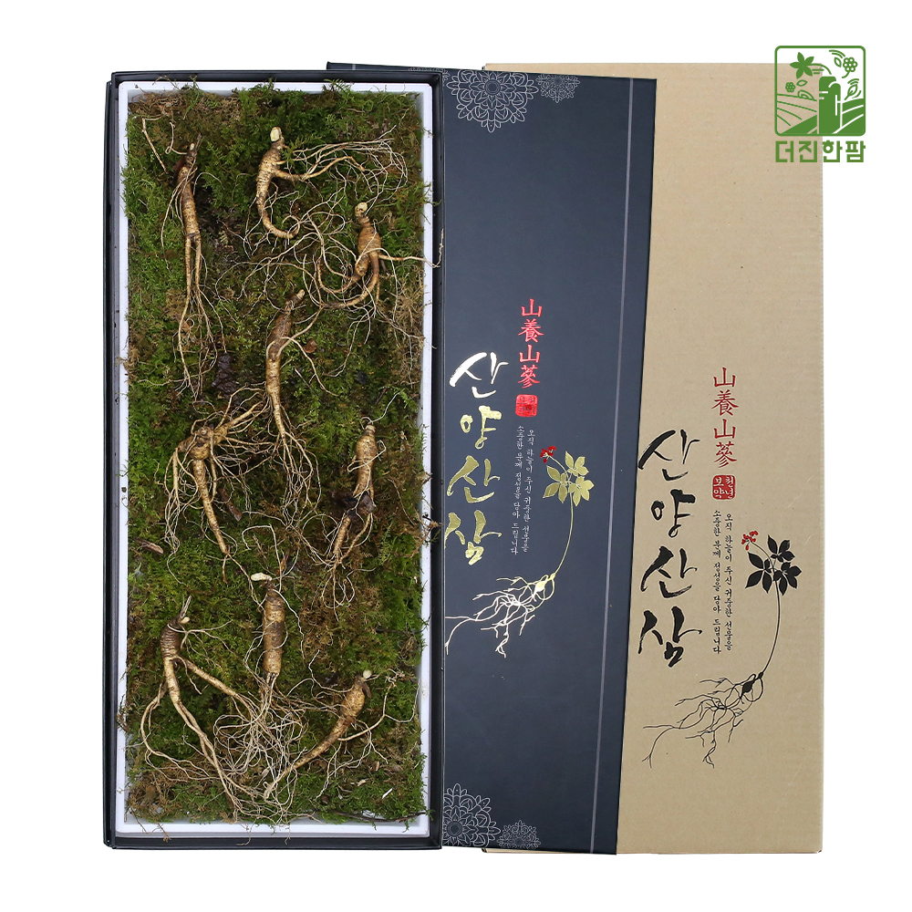 [더진한팜] 기운내삼 8-9년근 산양산삼 9뿌리 (전용 지함케이스 포장)