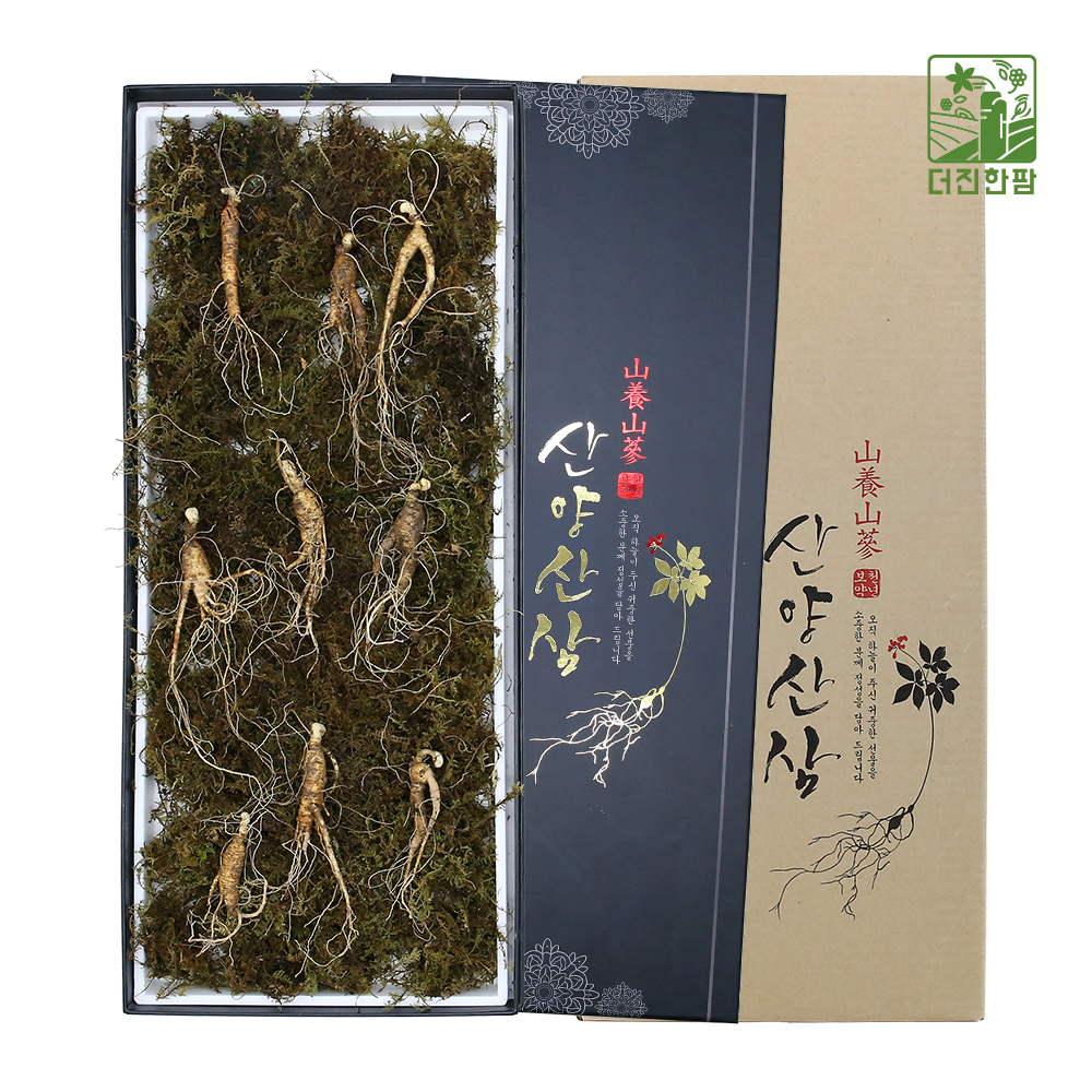 [더진한팜] 기운내삼 6-7년근 산양산삼 9뿌리 (전용 지함케이스 포장)