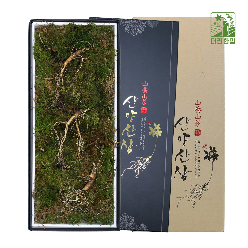 [더진한팜] 기운내삼 8-9년근 산양산삼 3뿌리 (전용 지함케이스 포장)