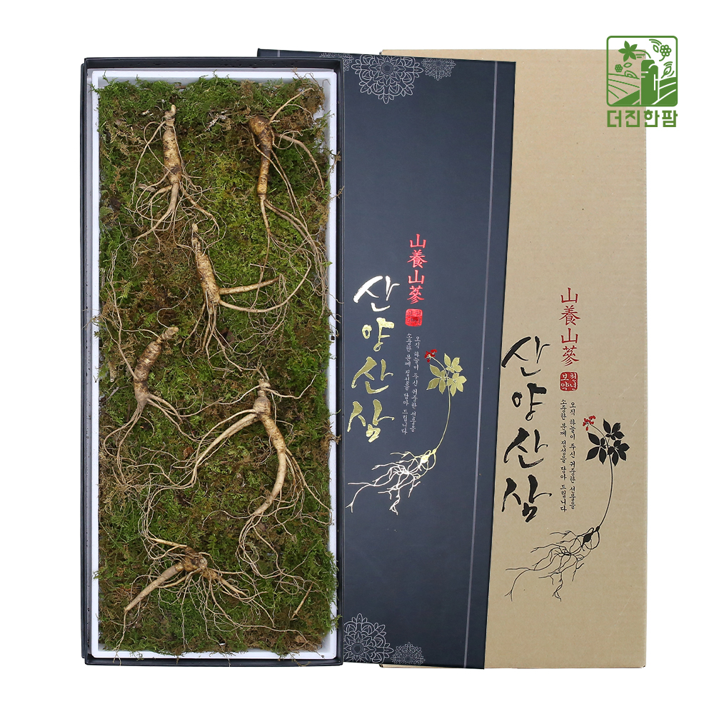 [더진한팜] 기운내삼 10년근 산양산삼 6뿌리 (전용 지함케이스 포장)