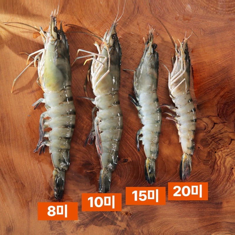 면세[맛투데이] 블랙타이거 새우 500g (10미)